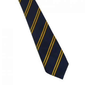 Tie Clip On Navy/Gold 14