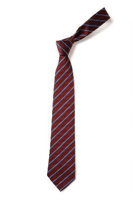 Tie Regular Maroon/Saxe (TS25)
