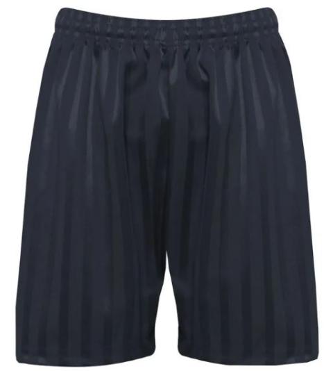 Shorts Shadow Stripe Navy - With Logo (Banner)