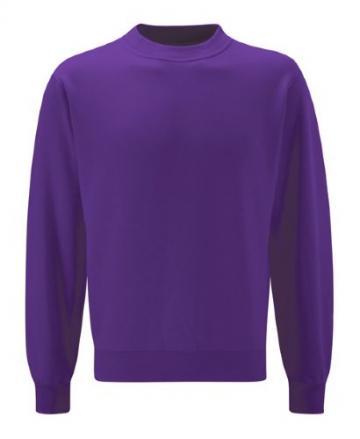 Sweatshirt Purple (Innovation) 